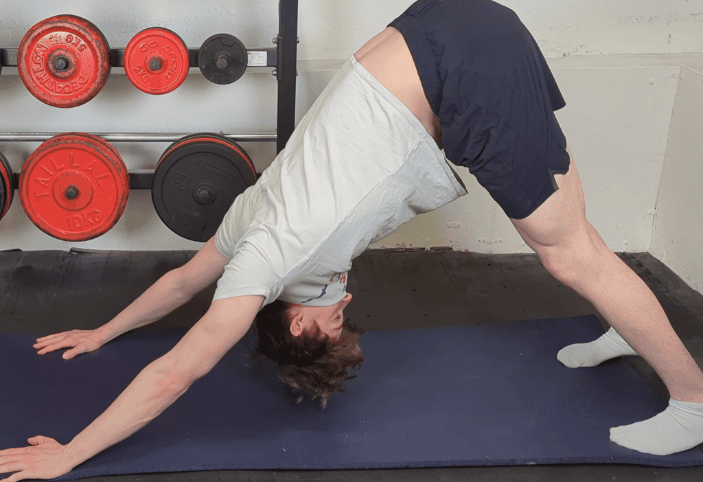 e-fitness coach